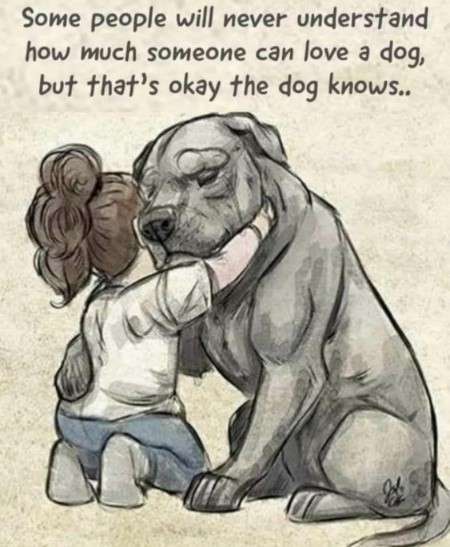 de hond weet hoeveel een mens van hem houdt