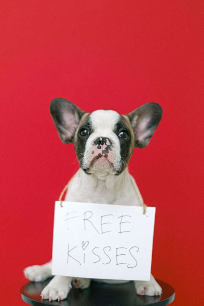 Hond Free kisses