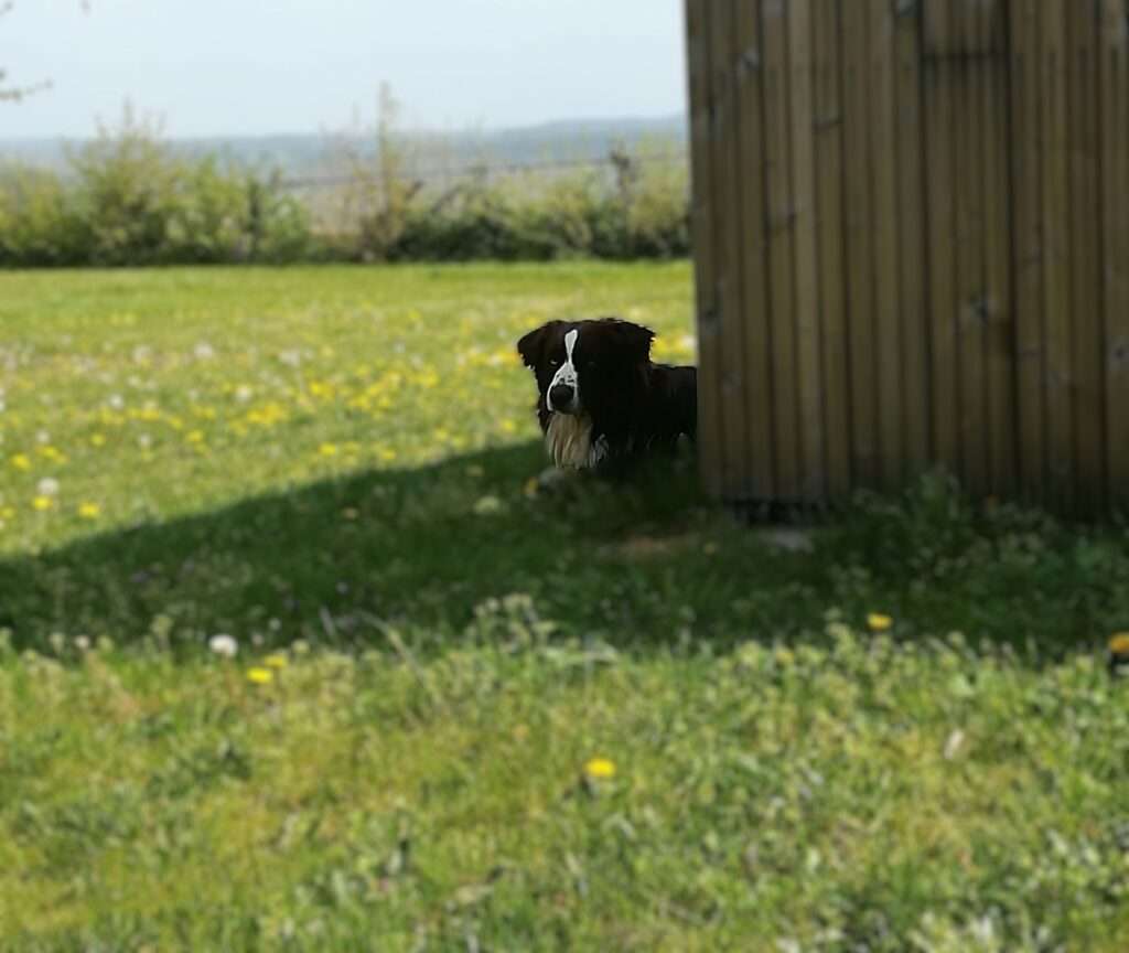 Vakantie ten einde William