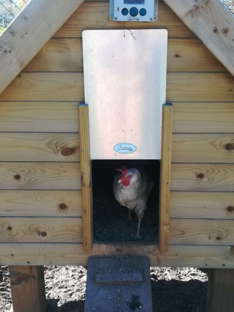 ChickenGuard