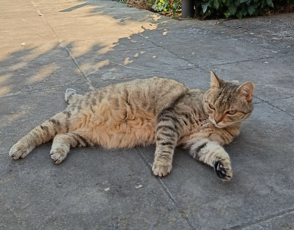 Fritske