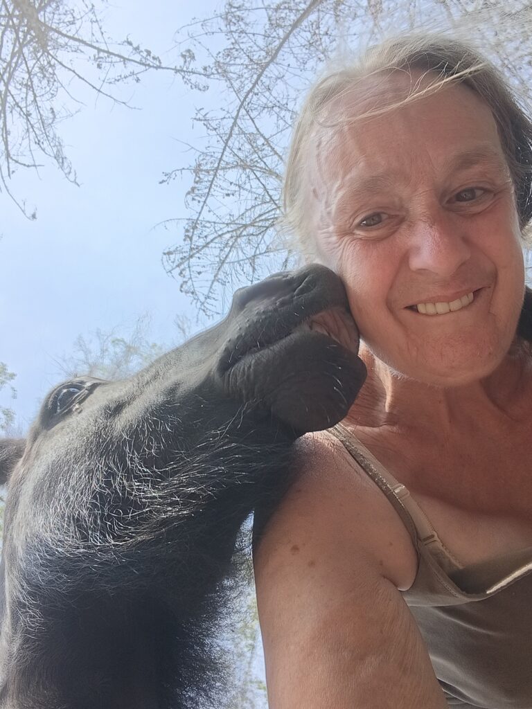 Bloed, zweet en tranen: Ivy geeft kusje